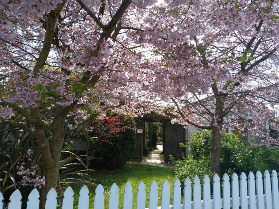 Secret Cottage Waitara Eksteriør bilde